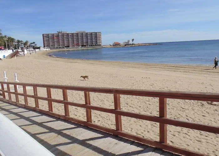 Apartment Frente De La Playa Torrevieja